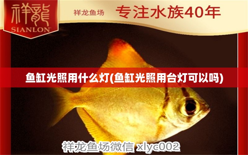 魚缸光照用什么燈(魚缸光照用臺燈可以嗎) PH調(diào)節(jié)劑