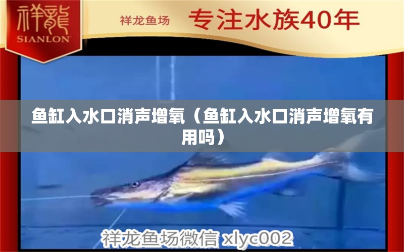 魚缸入水口消聲增氧（魚缸入水口消聲增氧有用嗎）