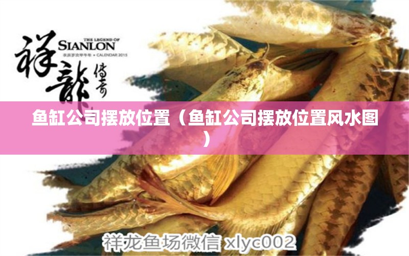 魚缸公司擺放位置（魚缸公司擺放位置風水圖）