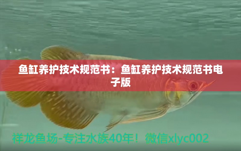 魚缸養(yǎng)護(hù)技術(shù)規(guī)范書：魚缸養(yǎng)護(hù)技術(shù)規(guī)范書電子版 觀賞魚市場(chǎng)（混養(yǎng)魚）