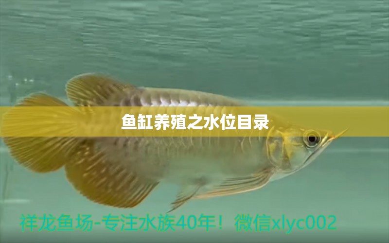 魚(yú)缸養(yǎng)殖之水位目錄 養(yǎng)魚(yú)知識(shí)