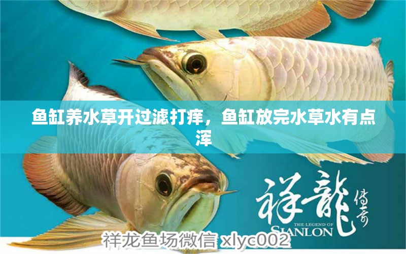 魚缸養(yǎng)水草開過濾打癢，魚缸放完水草水有點(diǎn)渾 水草