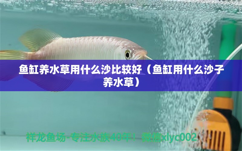 魚缸養(yǎng)水草用什么沙比較好（魚缸用什么沙子養(yǎng)水草） 水草