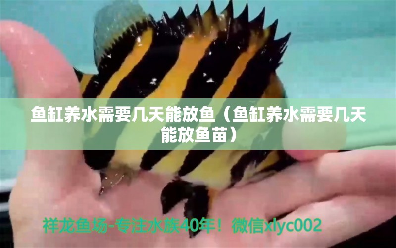 魚(yú)缸養(yǎng)水需要幾天能放魚(yú)（魚(yú)缸養(yǎng)水需要幾天能放魚(yú)苗） 祥龍水族醫(yī)院