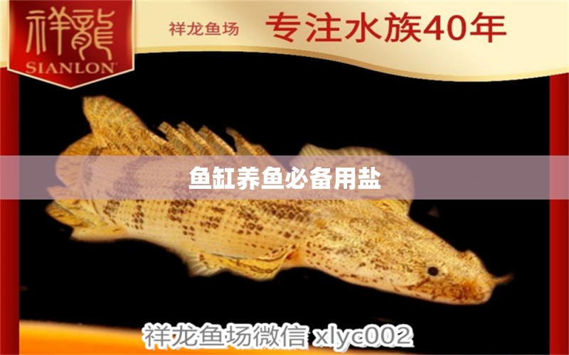 魚缸養(yǎng)魚必備用鹽 祥龍魚場