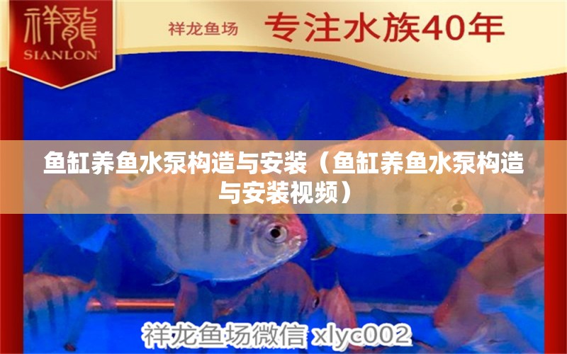 魚缸養(yǎng)魚水泵構(gòu)造與安裝（魚缸養(yǎng)魚水泵構(gòu)造與安裝視頻）