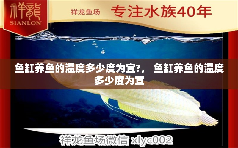 魚缸養(yǎng)魚的溫度多少度為宜?， 魚缸養(yǎng)魚的溫度多少度為宜 則道紅龍