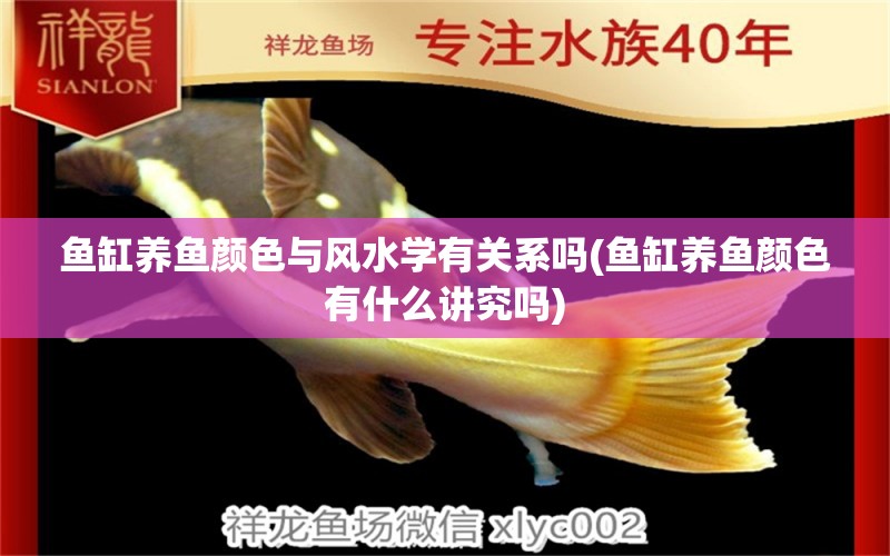 魚缸養(yǎng)魚顏色與風(fēng)水學(xué)有關(guān)系嗎(魚缸養(yǎng)魚顏色有什么講究嗎) 魚缸風(fēng)水