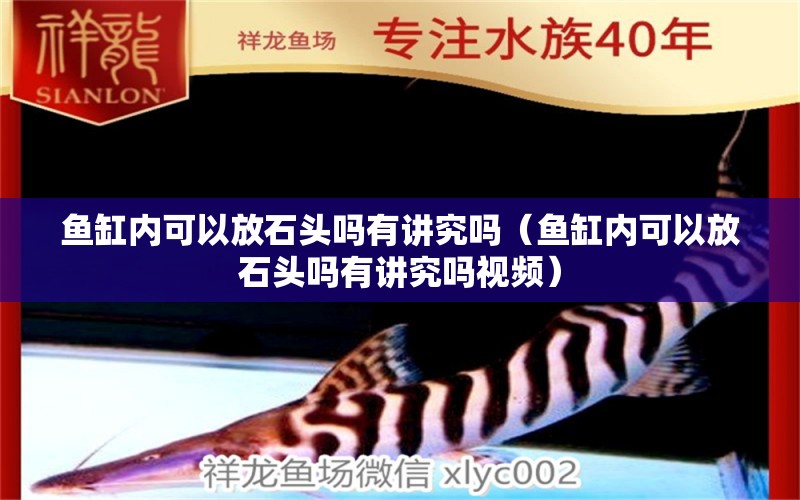 魚缸內(nèi)可以放石頭嗎有講究嗎（魚缸內(nèi)可以放石頭嗎有講究嗎視頻）