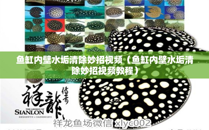 魚缸內(nèi)壁水垢清除妙招視頻（魚缸內(nèi)壁水垢清除妙招視頻教程） 其他品牌魚缸