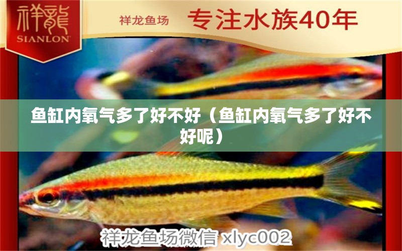 魚缸內(nèi)氧氣多了好不好（魚缸內(nèi)氧氣多了好不好呢）