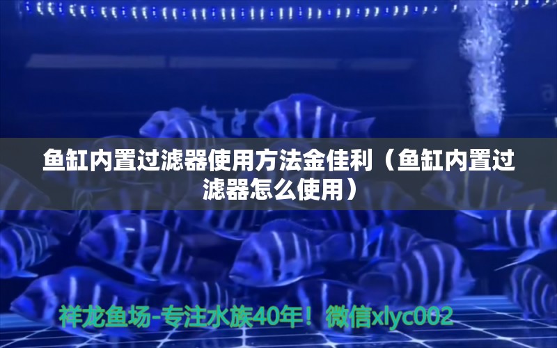 魚缸內(nèi)置過濾器使用方法金佳利（魚缸內(nèi)置過濾器怎么使用） 祥龍水族醫(yī)院