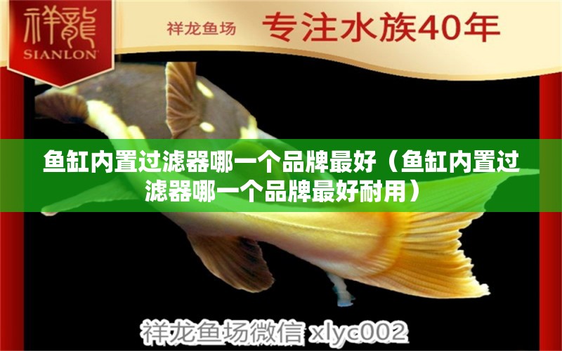 魚缸內(nèi)置過濾器哪一個品牌最好（魚缸內(nèi)置過濾器哪一個品牌最好耐用）