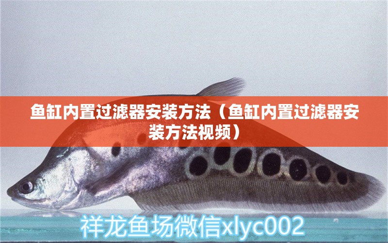 魚缸內(nèi)置過濾器安裝方法（魚缸內(nèi)置過濾器安裝方法視頻）