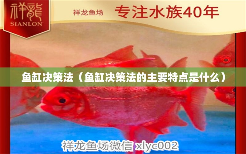 魚缸決策法（魚缸決策法的主要特點(diǎn)是什么）