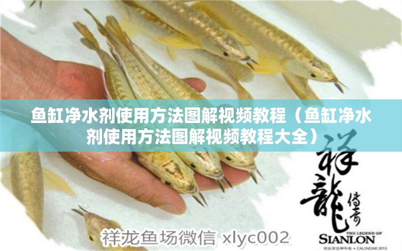 魚缸凈水劑使用方法圖解視頻教程（魚缸凈水劑使用方法圖解視頻教程大全）