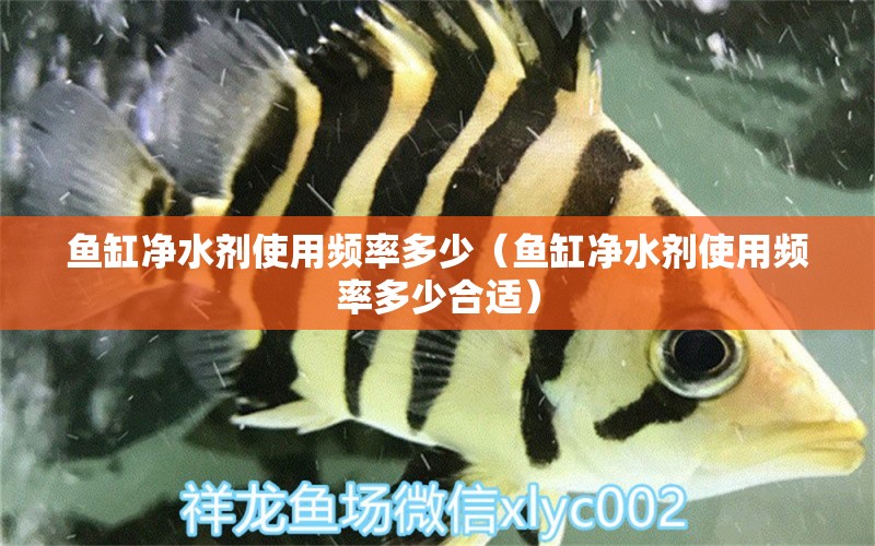 魚(yú)缸凈水劑使用頻率多少（魚(yú)缸凈水劑使用頻率多少合適）