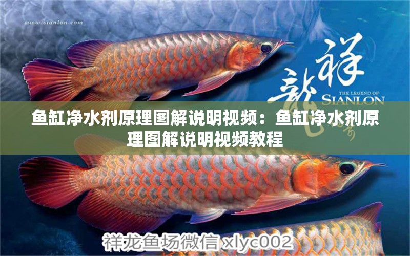 魚(yú)缸凈水劑原理圖解說(shuō)明視頻：魚(yú)缸凈水劑原理圖解說(shuō)明視頻教程