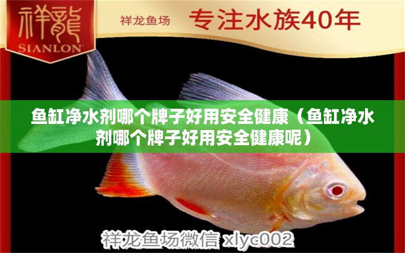 魚缸凈水劑哪個(gè)牌子好用安全健康（魚缸凈水劑哪個(gè)牌子好用安全健康呢）