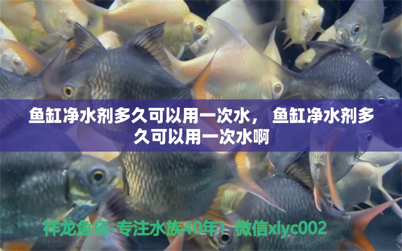 魚缸凈水劑多久可以用一次水， 魚缸凈水劑多久可以用一次水啊 印尼小紅龍