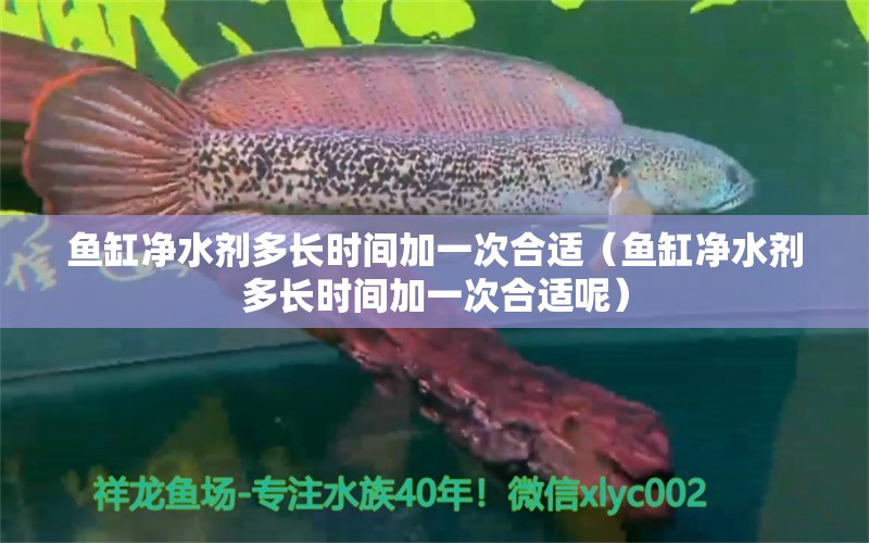 魚缸凈水劑多長時(shí)間加一次合適（魚缸凈水劑多長時(shí)間加一次合適呢）