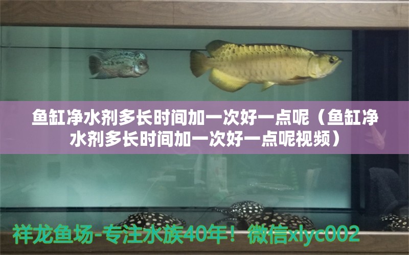 魚缸凈水劑多長時(shí)間加一次好一點(diǎn)呢（魚缸凈水劑多長時(shí)間加一次好一點(diǎn)呢視頻）