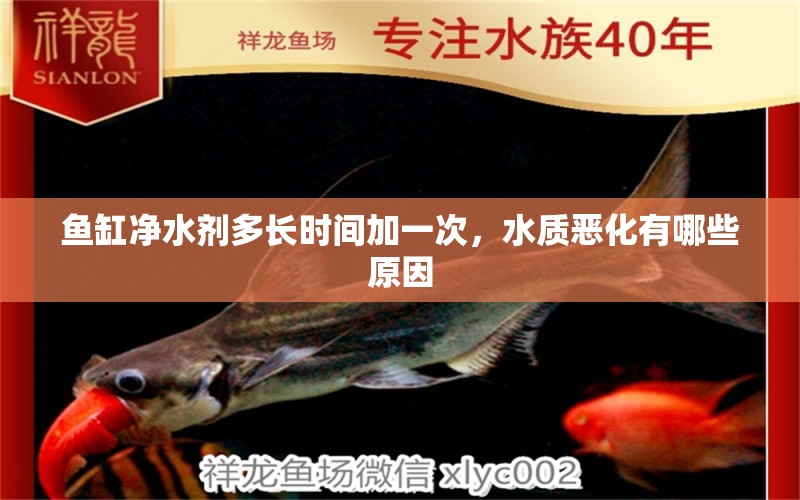 魚(yú)缸凈水劑多長(zhǎng)時(shí)間加一次，水質(zhì)惡化有哪些原因 國(guó)產(chǎn)元寶鳳凰魚(yú)