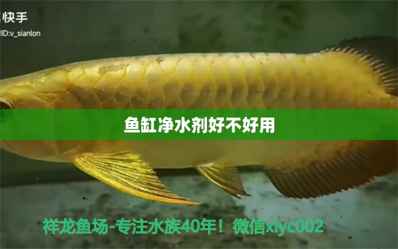 魚缸凈水劑好不好用