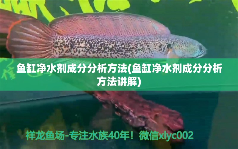 魚缸凈水劑成分分析方法(魚缸凈水劑成分分析方法講解) 白子黃化銀龍魚