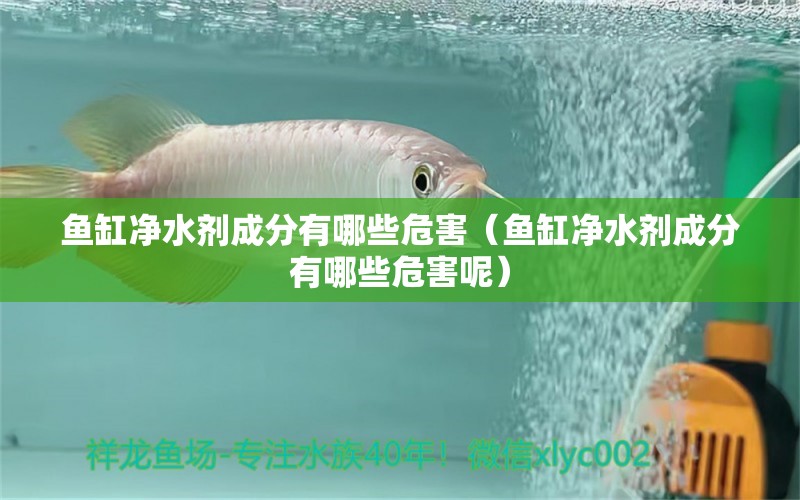 魚缸凈水劑成分有哪些危害（魚缸凈水劑成分有哪些危害呢）