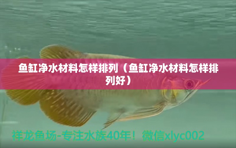 魚缸凈水材料怎樣排列（魚缸凈水材料怎樣排列好） 觀賞魚市場(chǎng)（混養(yǎng)魚）