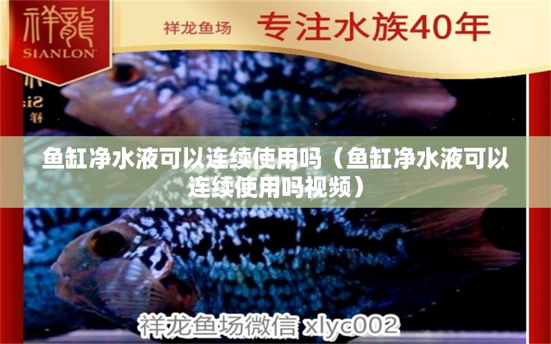 魚缸凈水液可以連續(xù)使用嗎（魚缸凈水液可以連續(xù)使用嗎視頻） 觀賞魚市場（混養(yǎng)魚）