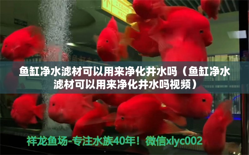 魚缸凈水濾材可以用來凈化井水嗎（魚缸凈水濾材可以用來凈化井水嗎視頻） 觀賞魚市場（混養(yǎng)魚）