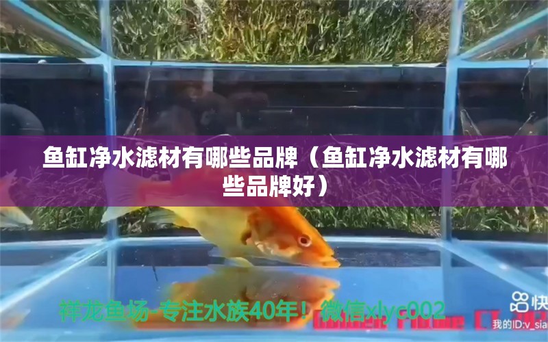 魚缸凈水濾材有哪些品牌（魚缸凈水濾材有哪些品牌好） 觀賞魚市場（混養(yǎng)魚）