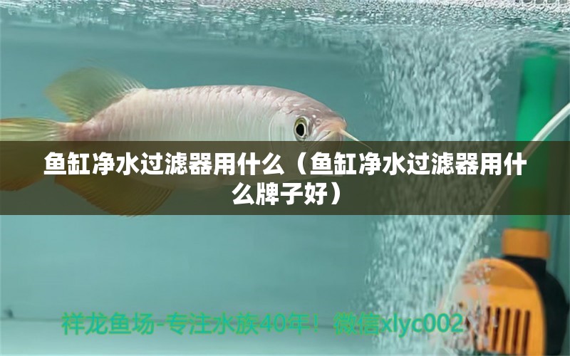 魚缸凈水過濾器用什么（魚缸凈水過濾器用什么牌子好）