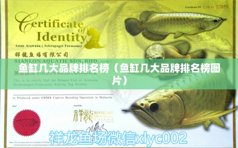 魚缸幾大品牌排名榜（魚缸幾大品牌排名榜圖片）