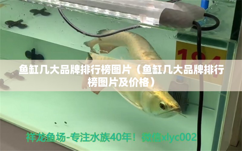 魚缸幾大品牌排行榜圖片（魚缸幾大品牌排行榜圖片及價格）