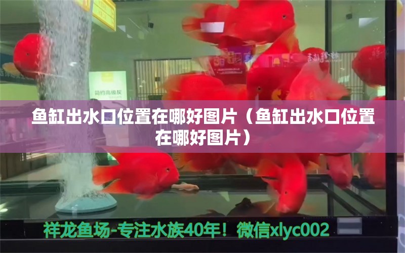 魚缸出水口位置在哪好圖片（魚缸出水口位置在哪好圖片） 祥龍水族醫(yī)院