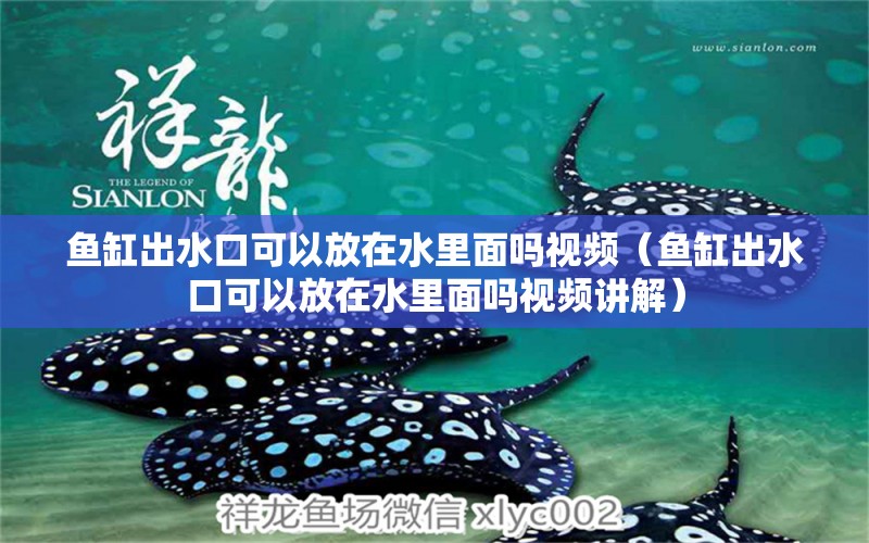 魚缸出水口可以放在水里面嗎視頻（魚缸出水口可以放在水里面嗎視頻講解） 龍魚百科