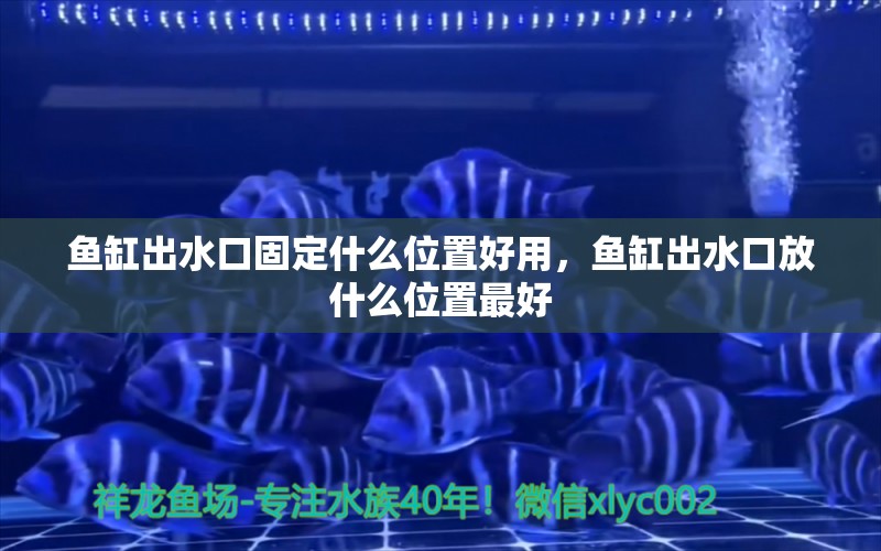 魚(yú)缸出水口固定什么位置好用，魚(yú)缸出水口放什么位置最好 祥禾Super Red紅龍魚(yú)