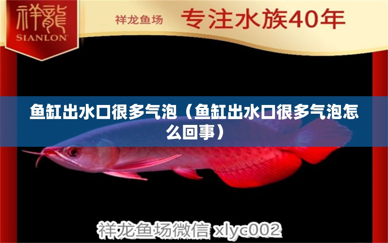 魚缸出水口很多氣泡（魚缸出水口很多氣泡怎么回事）