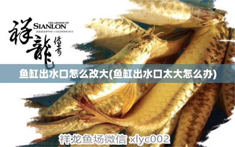 魚缸出水口怎么改大(魚缸出水口太大怎么辦) 虎魚魚苗