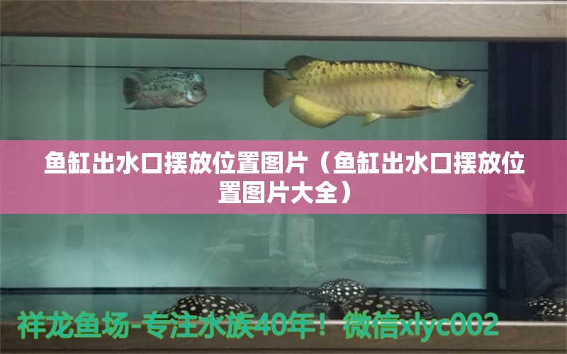 魚缸出水口擺放位置圖片（魚缸出水口擺放位置圖片大全）