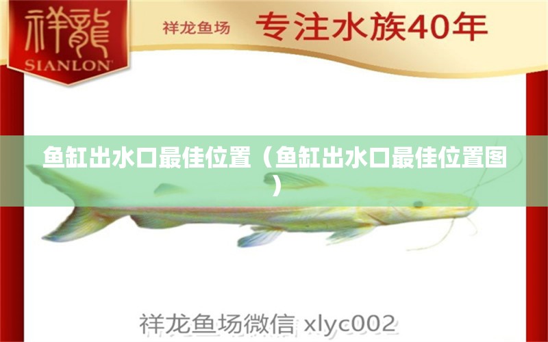 魚缸出水口最佳位置（魚缸出水口最佳位置圖）