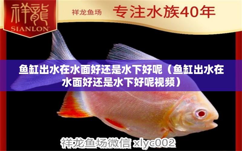 魚缸出水在水面好還是水下好呢（魚缸出水在水面好還是水下好呢視頻）