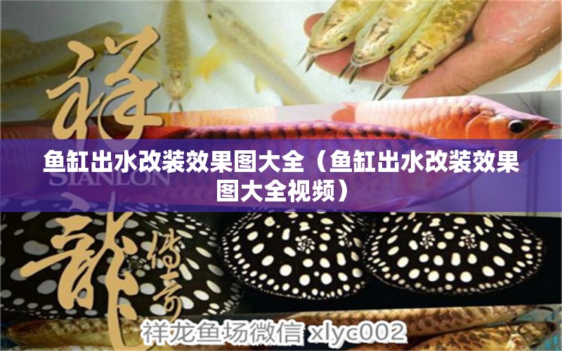 魚(yú)缸出水改裝效果圖大全（魚(yú)缸出水改裝效果圖大全視頻） 圣菲埃及魚(yú)