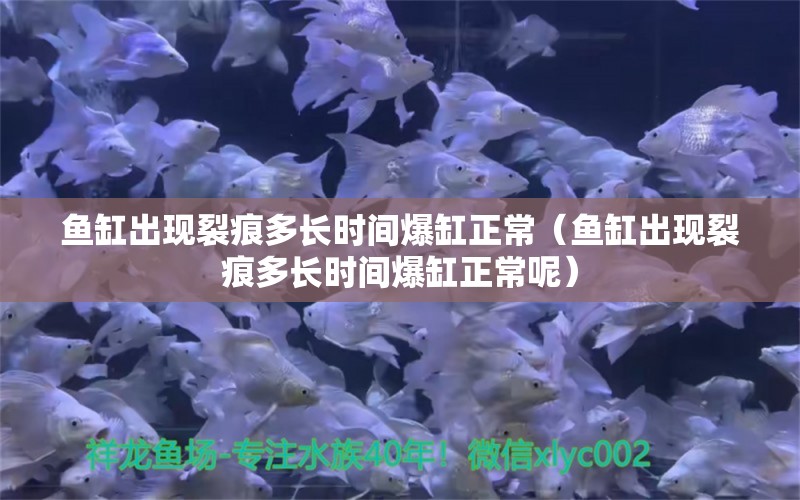 魚缸出現(xiàn)裂痕多長時間爆缸正常（魚缸出現(xiàn)裂痕多長時間爆缸正常呢）