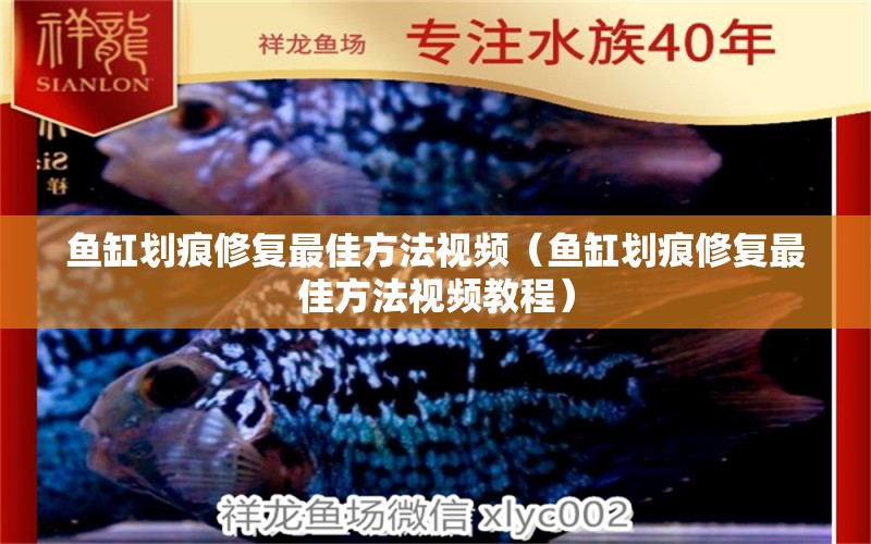 魚(yú)缸劃痕修復(fù)最佳方法視頻（魚(yú)缸劃痕修復(fù)最佳方法視頻教程）