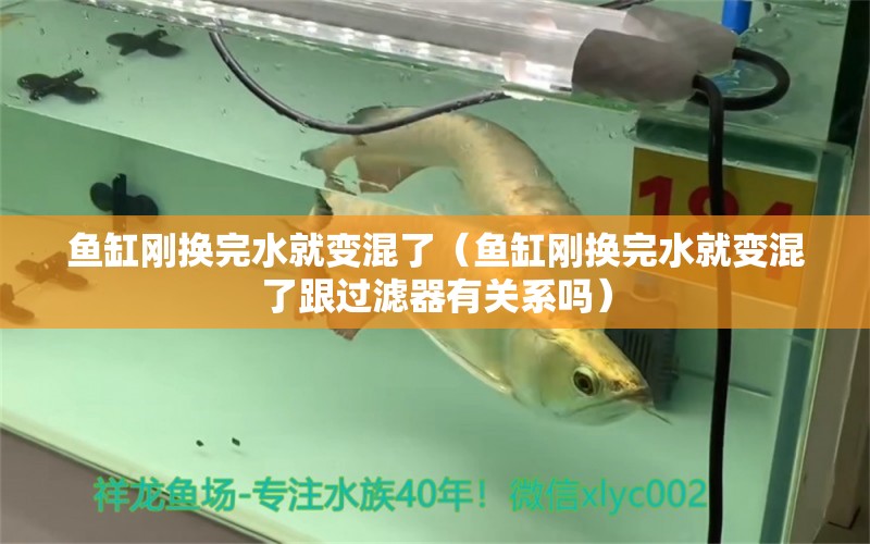 魚缸剛換完水就變混了（魚缸剛換完水就變混了跟過濾器有關(guān)系嗎）