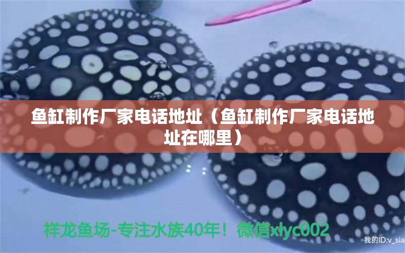 魚缸制作廠家電話地址（魚缸制作廠家電話地址在哪里）